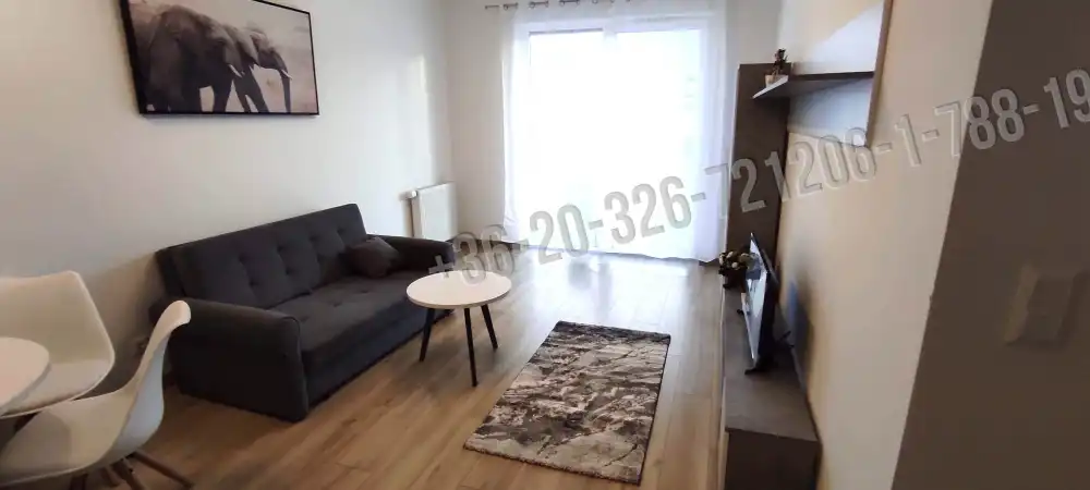 Budapest, IX. kerület - Rehabilitációs terület