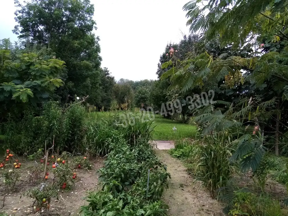 Veszprém megye - Bakonyság