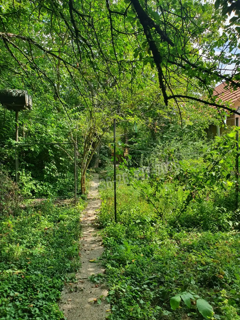 Pest megye - Budakeszi