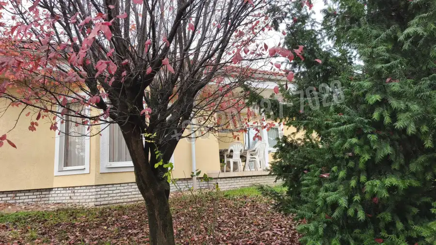 eladó családi ház, Tök