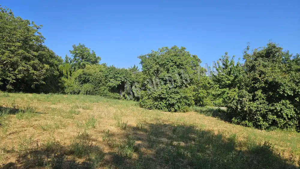 Pest megye - Budakeszi