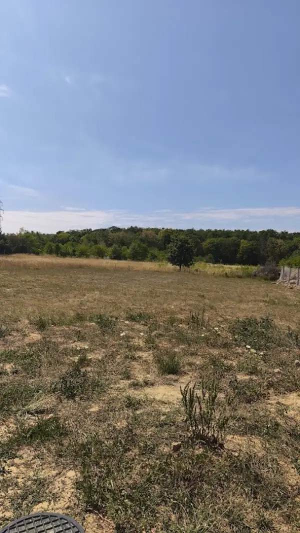 Eladó Építési telek, Budakeszi 765 m² 99.8 M Ft