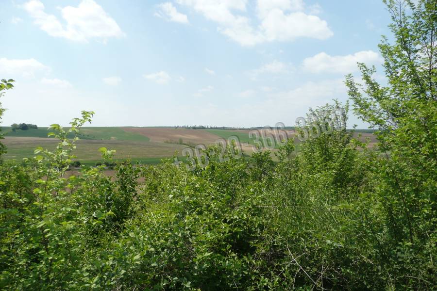 eladó  Gyümölcsös, Bajna