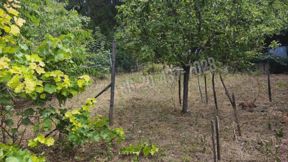 Pest megye - Budakeszi