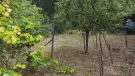 Pest megye - Budakeszi
