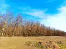 Pest megye - Kocsér