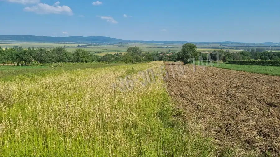 eladó  Üdülő, Tök