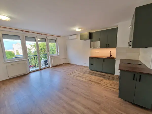 Kiadó újszerű téglalakás, Budapest, XIV. kerület 1+1 szoba 50 m² 230 E Ft/hó
